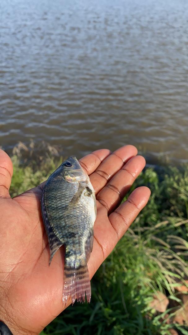 Agro-tourism experience at Royal Cooper Farm